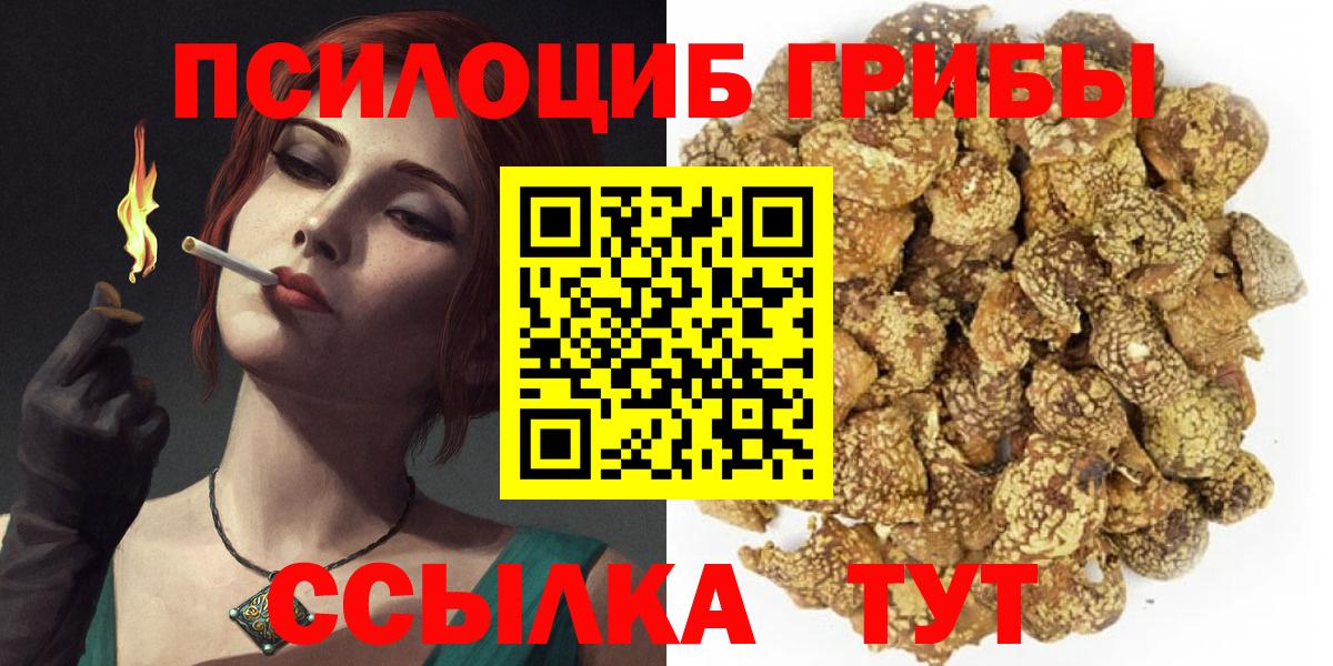 Галлюциногенные грибы Psilocybe Санкт-Петербург