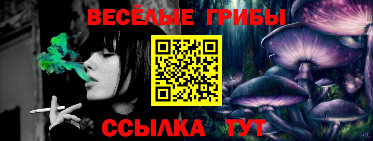 Галлюциногенные грибы мицелий  Вход с VPN  Санкт-Петербург  цена наркотик  Галлюциногенные грибы GOLDEN TEACHER 